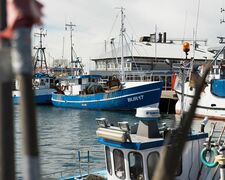 Ferien auf der Insel Fehmarn bei Thiel