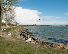 Ferien auf der Insel Fehmarn bei Thiel
