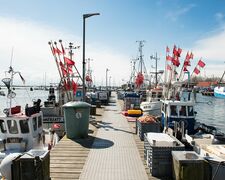 Ferien auf der Insel Fehmarn bei Thiel