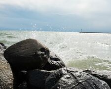 Ferien auf der Insel Fehmarn bei Thiel