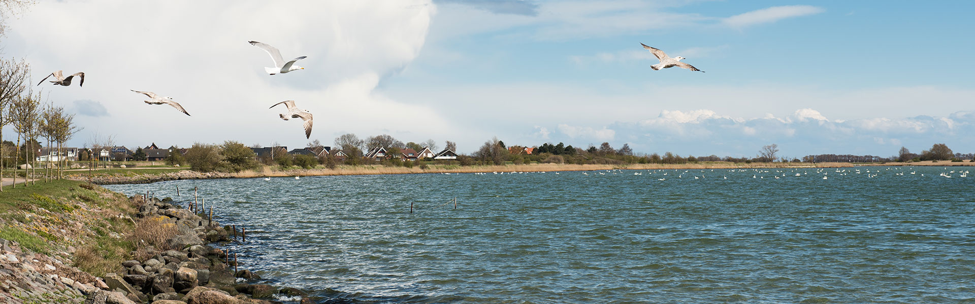 Ferienwohnungen Thiel auf Fehmarn, Insel Fehmarn